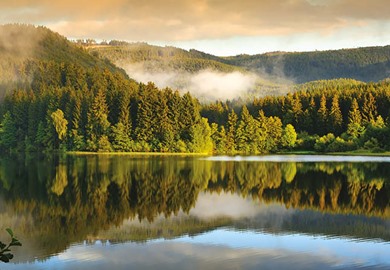 Harz Mountains & the Rhine Gorge