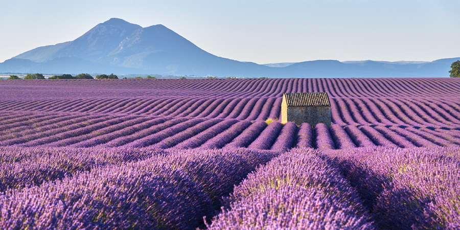 Provence  