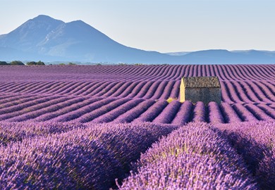 Provence  