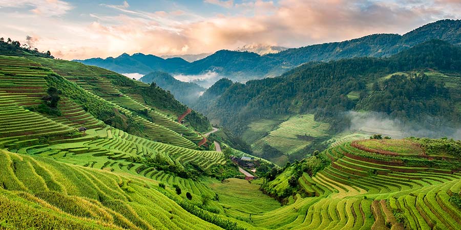 The beautiful green rice paddies of Vietnam cover the rolling hills.